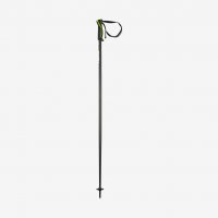 Head Frontside Ski Pole