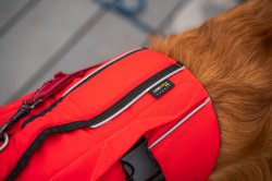 Red Equipment Adjustable Dog Buoyancy Aid