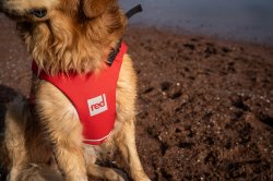 Red Equipment Adjustable Dog Buoyancy Aid